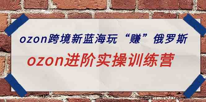 （9800期）ozon跨境新蓝海玩“赚”俄罗斯，ozon进阶实操训练营-小森之家