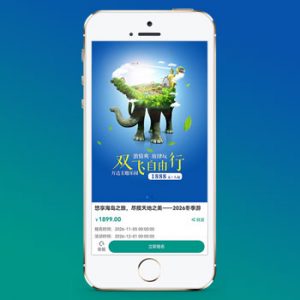 (独立手机版)单页落地页推广网站模板 - 带复制微信号-小森之家