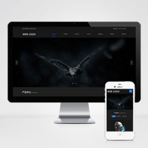 (自适应手机端)响应式高端摄影网站pbootcms模板 黑色酷炫数码摄影网站源码下载-小森之家