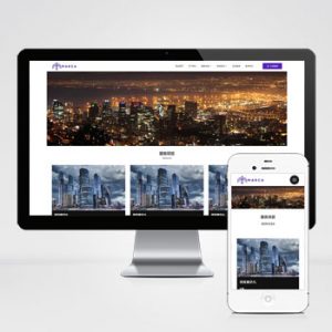 (自适应手机端)商务服务类网站模板 商业管理网站源码下载-小森之家