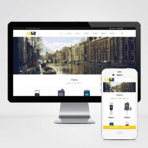 (自适应手机端)电子弹簧秤网站模板 弹簧平衡器网站源码下载-小森之家