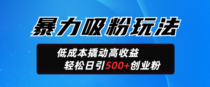 暴力吸粉玩法，日引500+精准创业粉，日变现轻松多张-小森之家