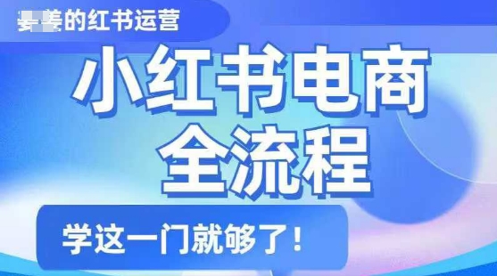 小红书电商全流程，精简易懂，从入门到精通，学这一门就够了-小森之家