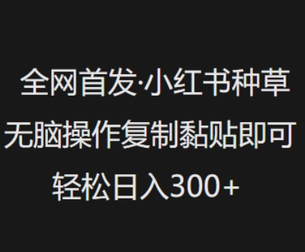 全网首发，小红书种草无脑操作，复制黏贴即可，轻松日入3张-小森之家