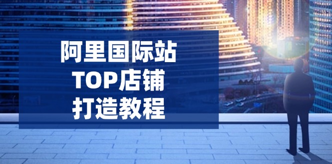 （14269期）阿里国际站TOP店铺打造教程：涵盖平台到高阶，解决运营难题，提升询盘-小森之家