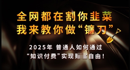 知识付费如何做到月入过W+，2025我来教你做“镰刀”【揭秘】-小森之家