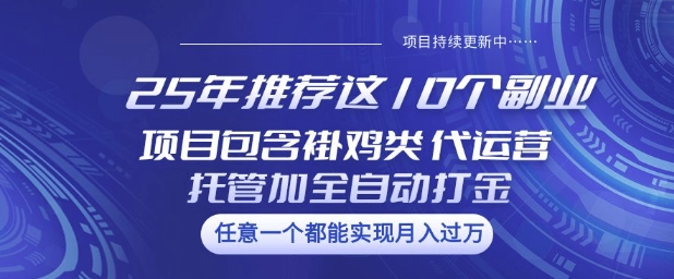 25年推荐这10个副业项目包含褂鸡类、代运营托管类、全自动打金类【揭秘】-小森之家