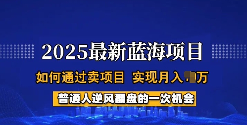 2025蓝海项目，普通人如何通过卖项目，实现月入过W，全过程【揭秘】-小森之家