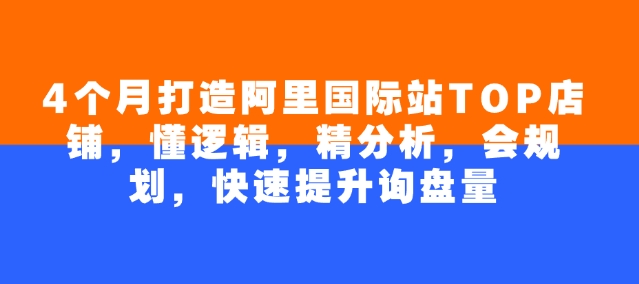 4个月打造阿里国际站TOP店铺，懂逻辑，精分析，会规划，快速提升询盘量-小森之家