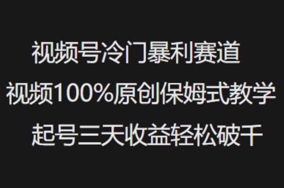 视频号冷门暴利赛道视频100%原创保姆式教学起号三天收益轻松破千-小森之家