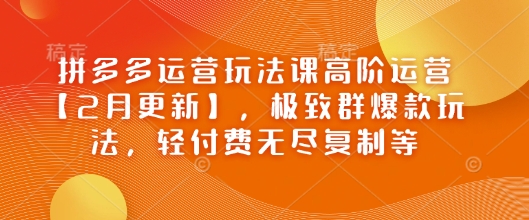 拼多多运营玩法课高阶运营【2月更新】，极致群爆款玩法，轻付费无尽复制等-小森之家