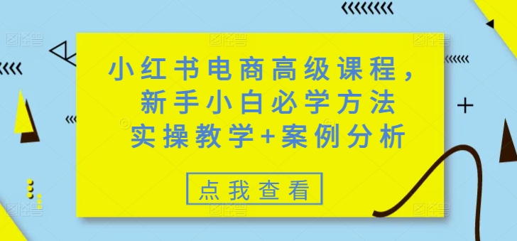 小红书电商高级课程，新手小白必学方法，实操教学+案例分析-小森之家