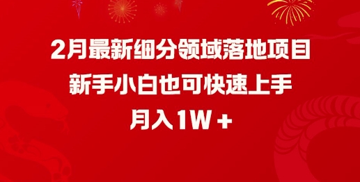 2月最新细分领域落地项目，新手小白也可快速上手，月入1W-小森之家