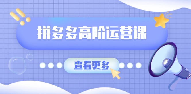 （14327期）拼多多高阶运营课：极致群爆款玩法，轻付费无尽复制，打造单品爆款之路-小森之家