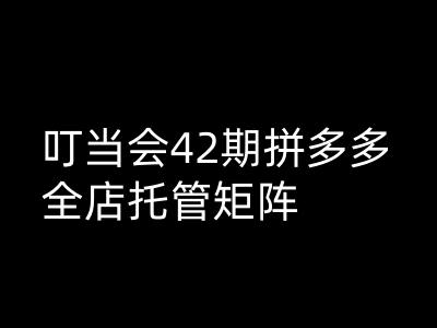 叮当会拼多多打爆班原创高阶技术第42期，拼多多全店托管矩阵-小森之家